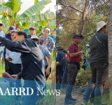 DOST-PCAARRD participates in an international project on climate change impacts in tropical fruit production